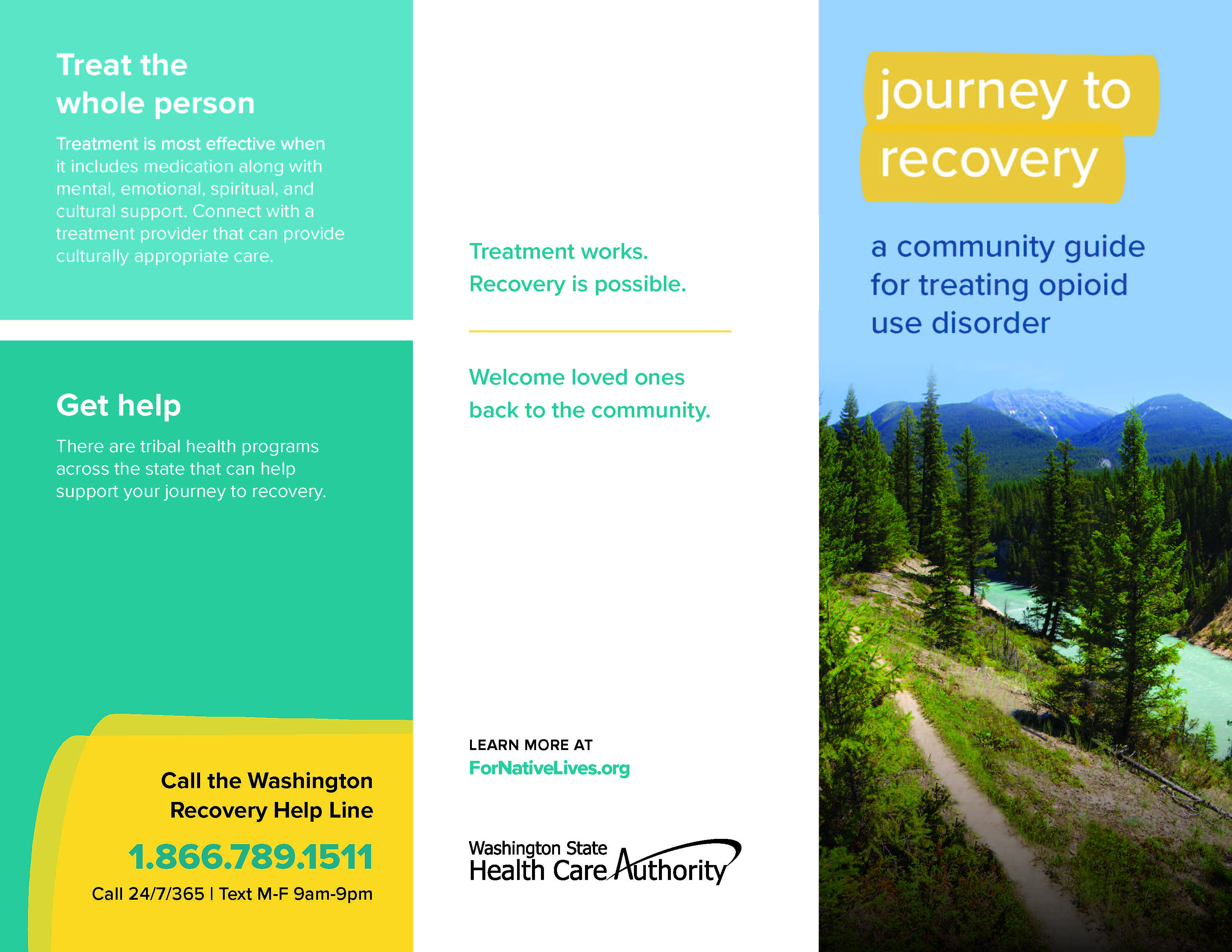Treatment Brochure - Journey to Recovery
